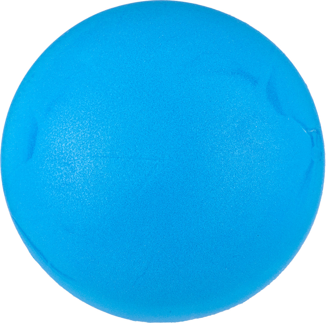 20cm Foam Sponge Ball