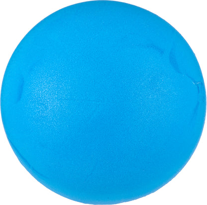 20cm Foam Sponge Ball
