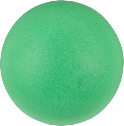 20cm Foam Sponge Ball