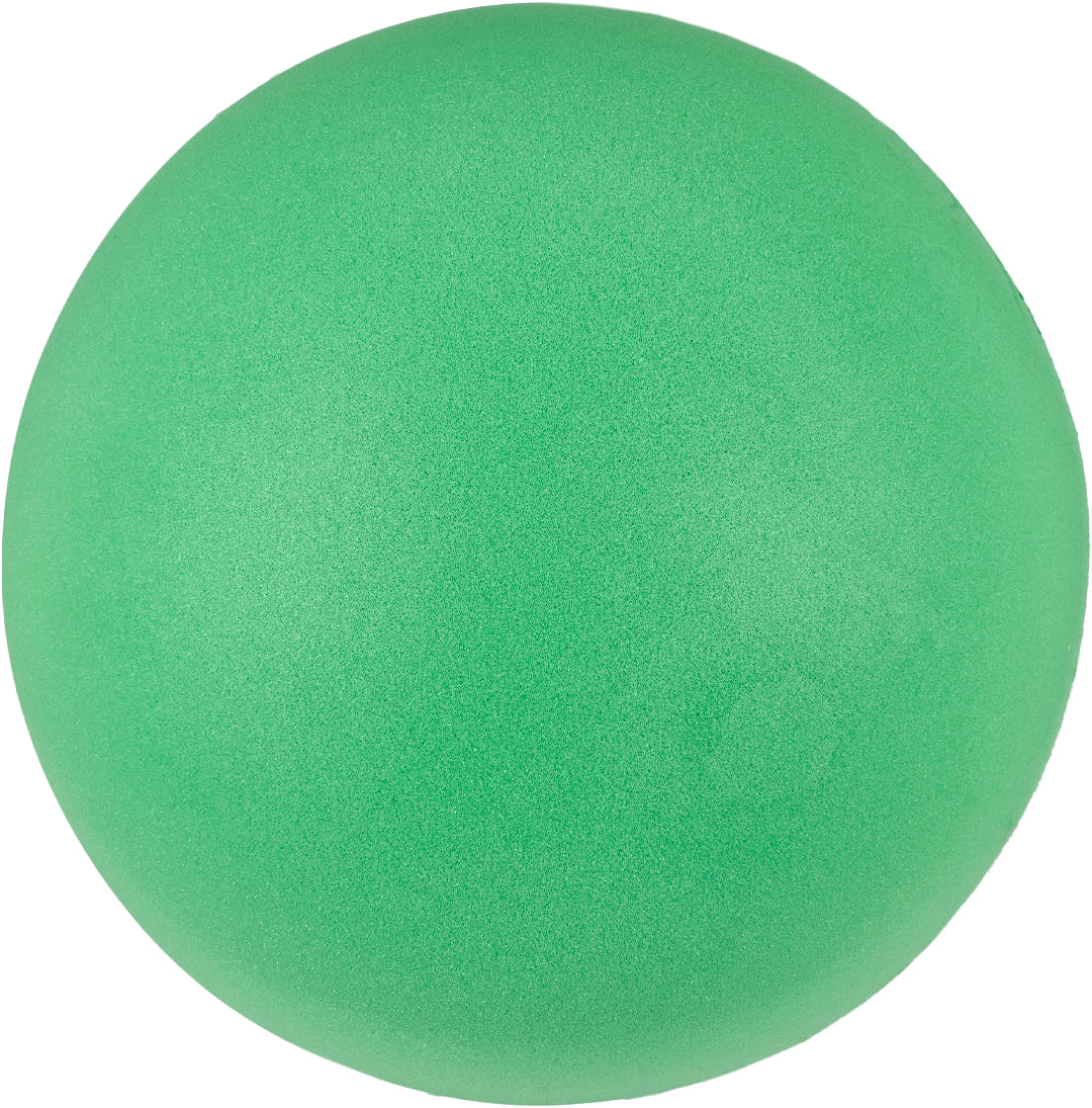 20cm Foam Sponge Ball