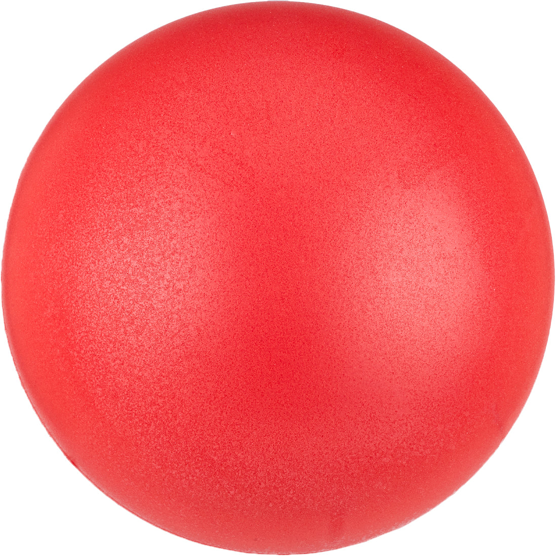 20cm Foam Sponge Ball