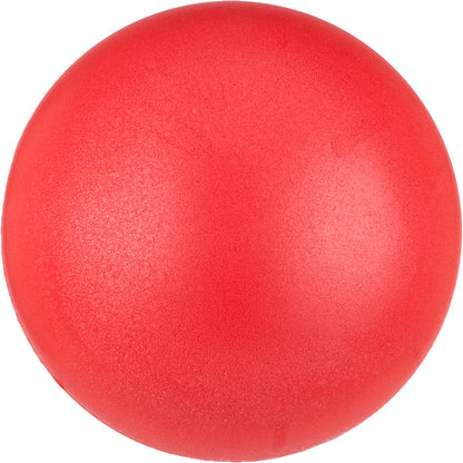 20cm Foam Sponge Ball