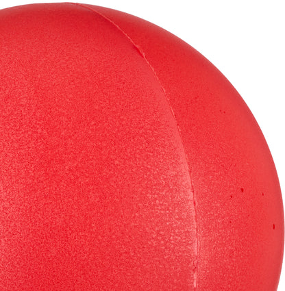 20cm Foam Sponge Ball
