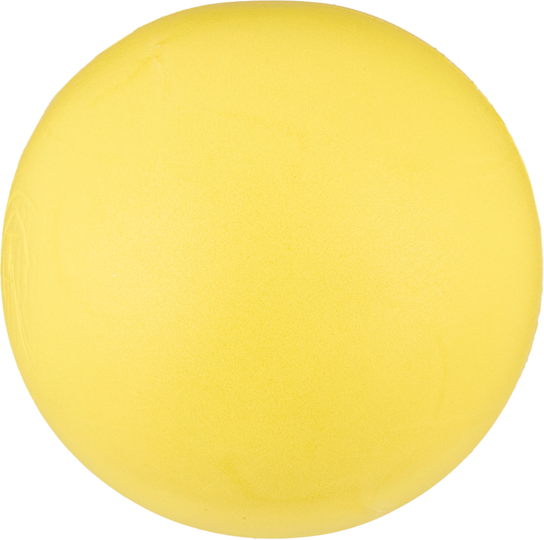 20cm Foam Sponge Ball