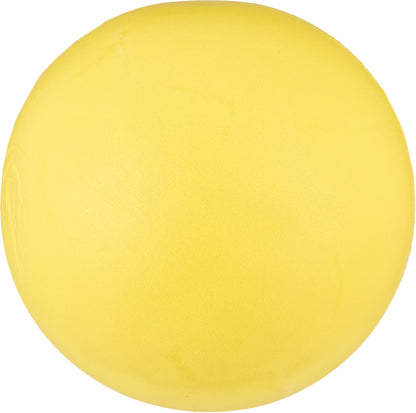20cm Foam Sponge Ball