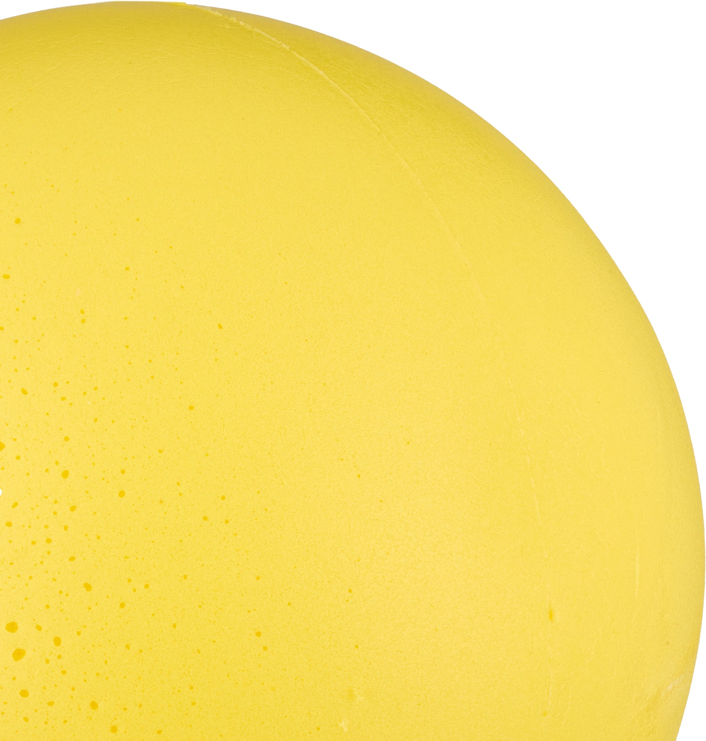 20cm Foam Sponge Ball