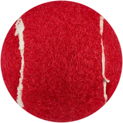 Play Tennis Balls (Set of 96)