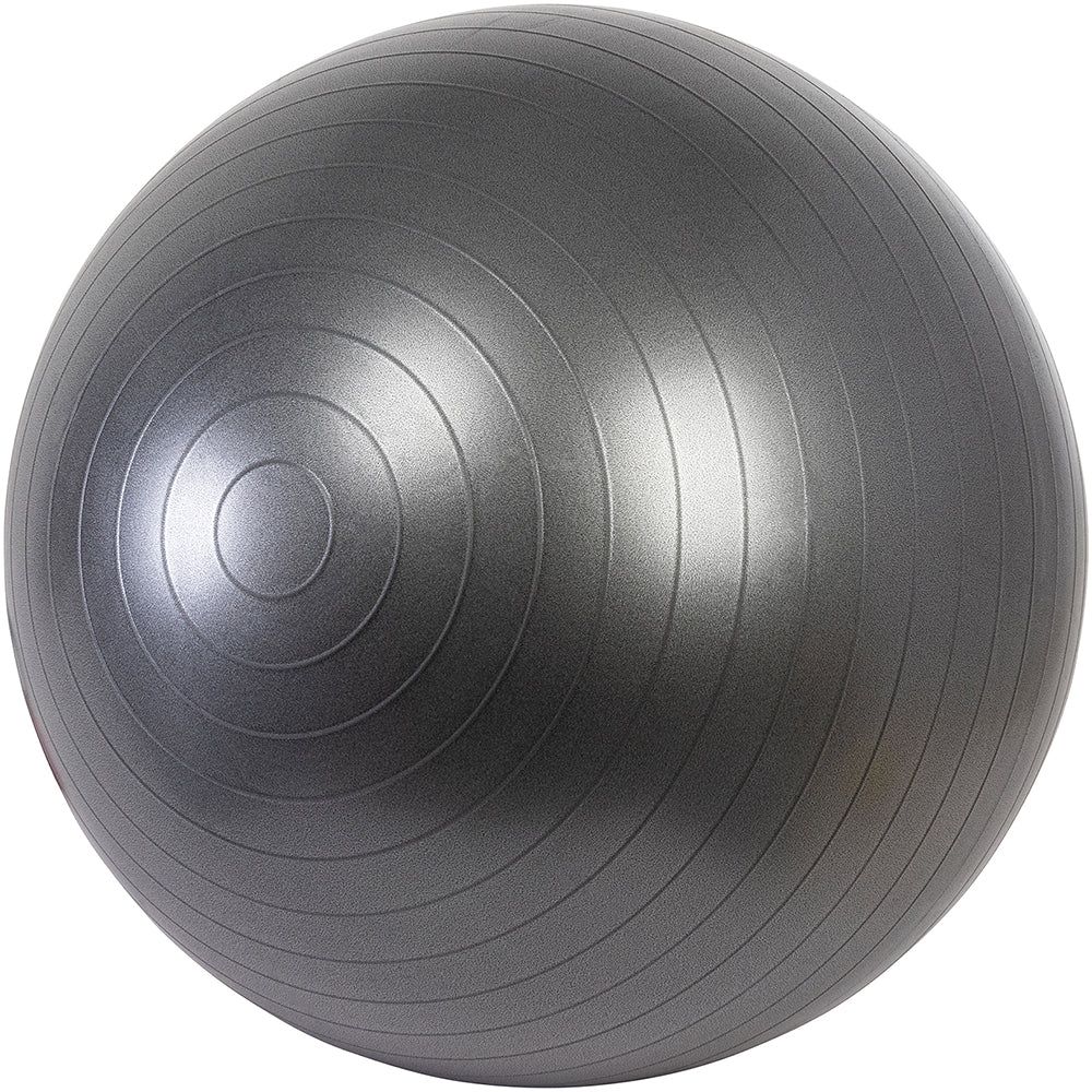 USA Pro Gym Ball