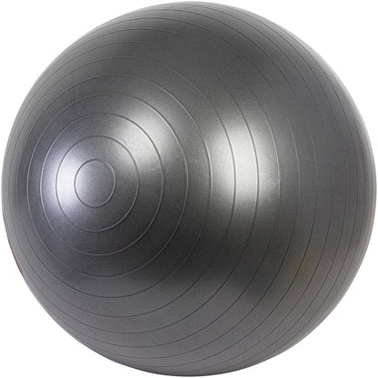 USA Pro Gym Ball