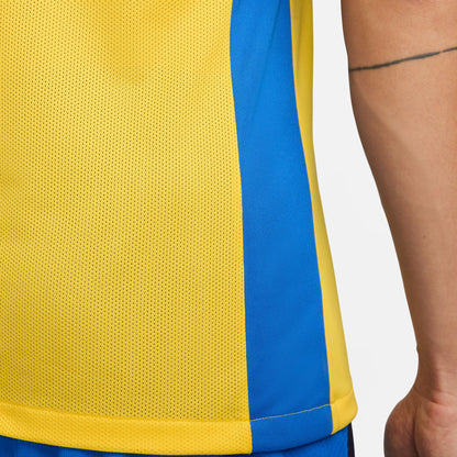 Nike Park Derby IV Jersey Senior