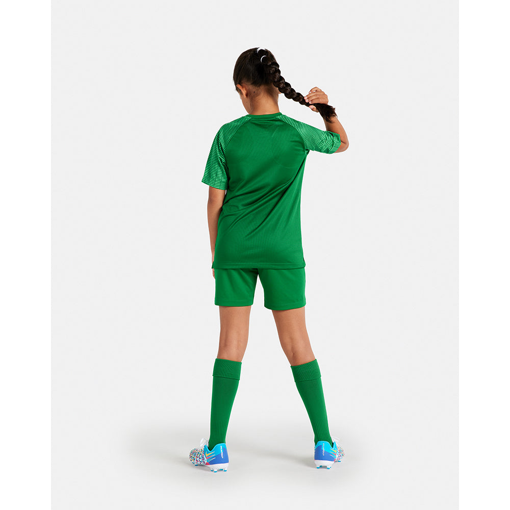 Nike Academy Jersey Youth