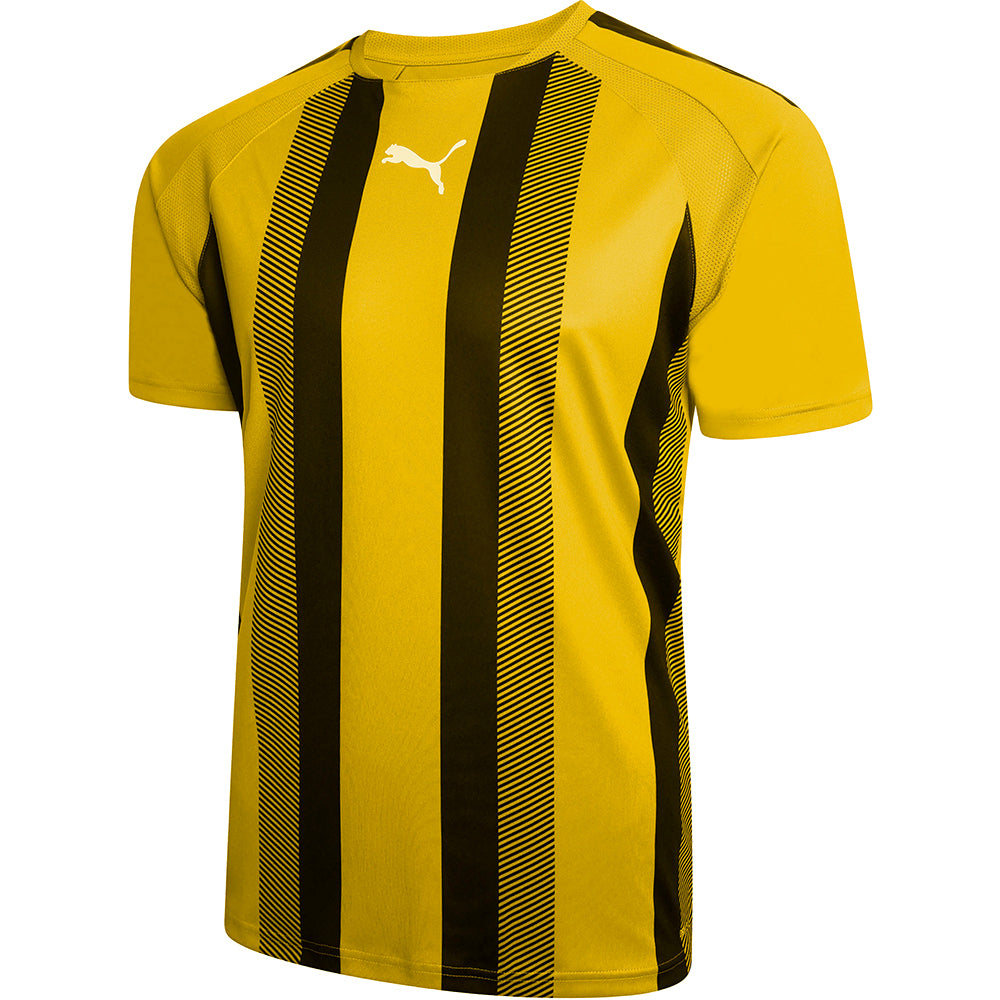 Puma Team Liga Striped Jersey Youth
