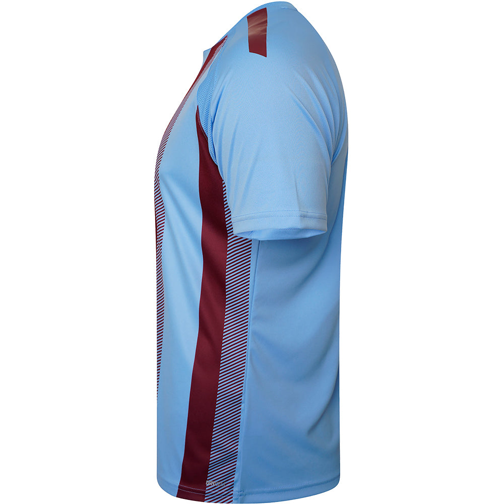 Puma Team Liga Striped Jersey Youth