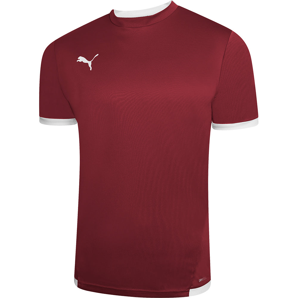 Puma Team Liga Training Jersey Youth