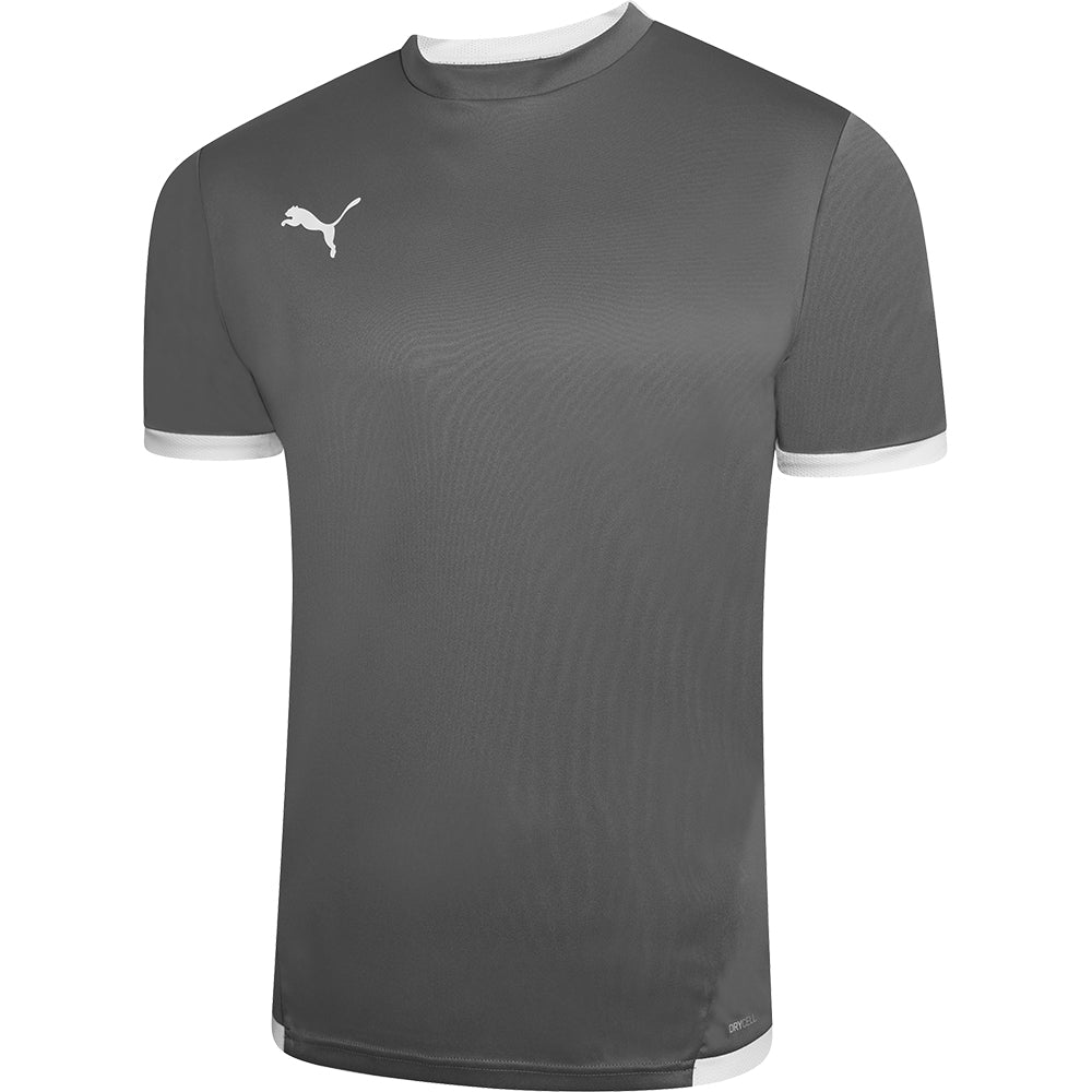 Puma Team Liga Training Jersey Youth