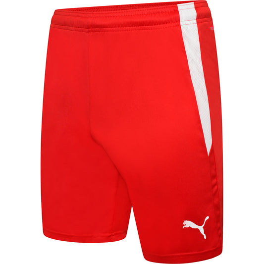 Puma Team Liga Shorts Senior