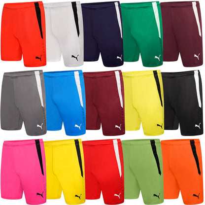 Puma Team Liga Shorts Senior