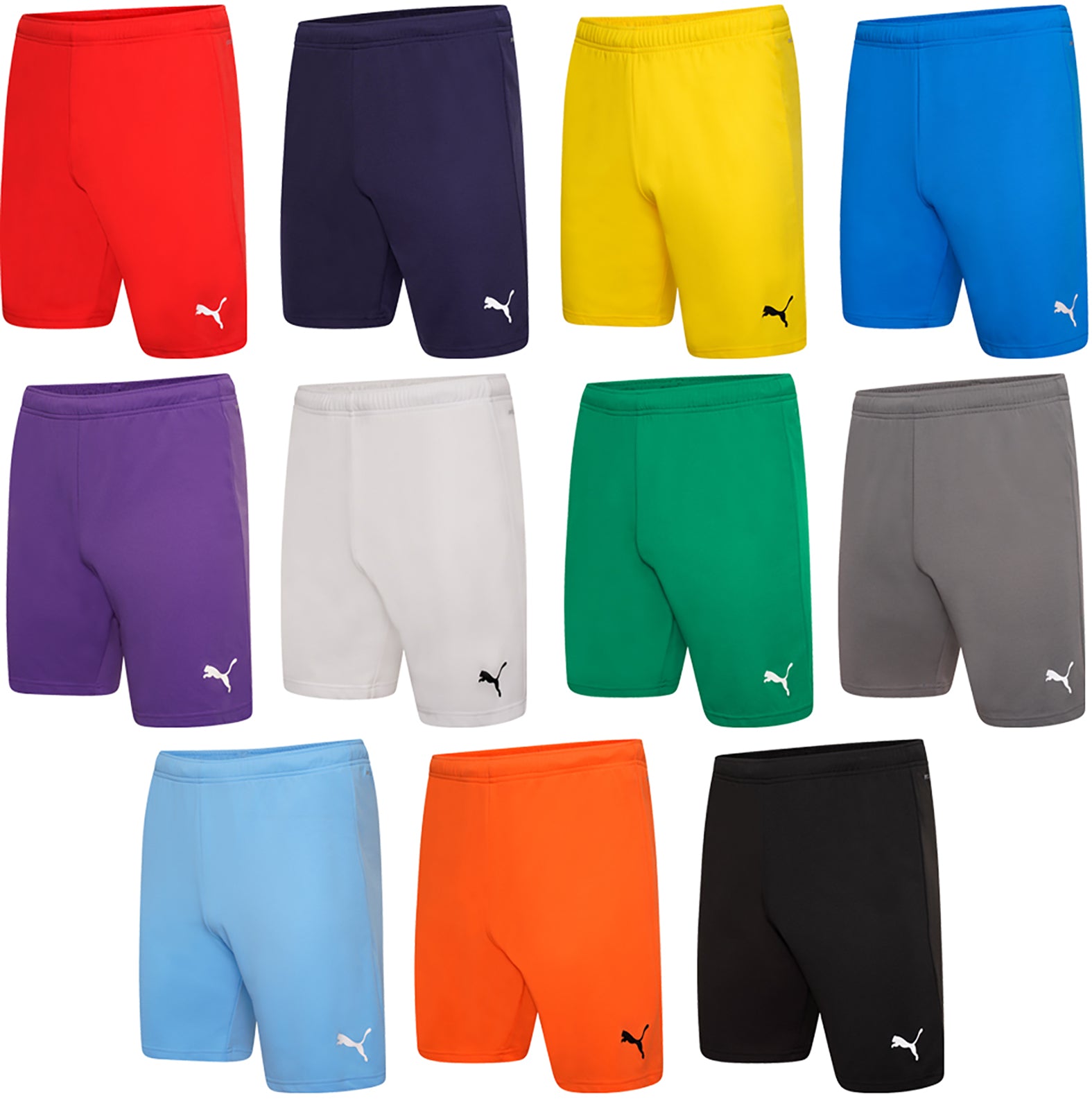 Puma Team Rise Shorts Youth – Sports Directory