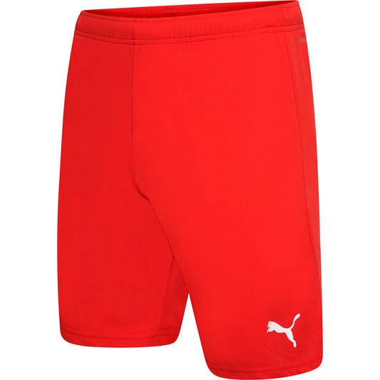 Puma Team Rise Shorts Senior