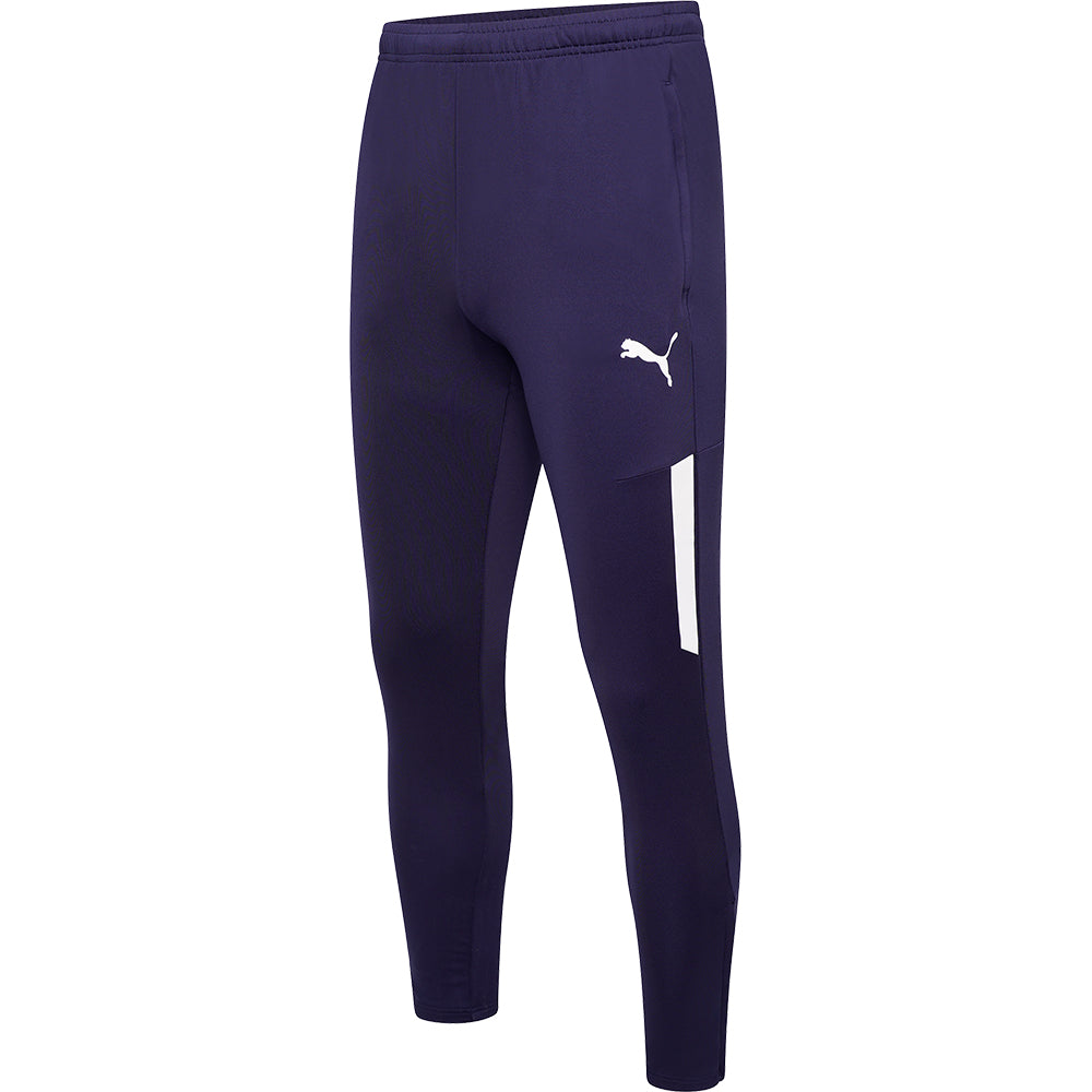 Puma Team Liga Training Pant Pro Senior