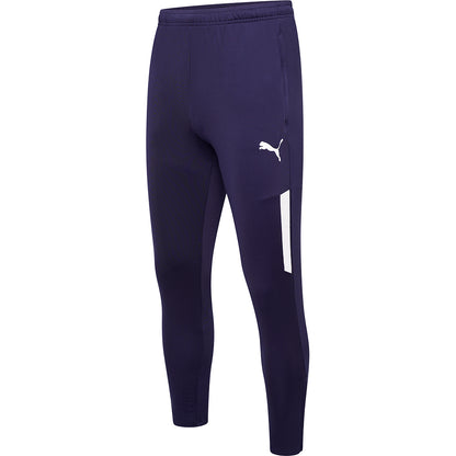 Puma Team Liga Training Pant Pro Senior