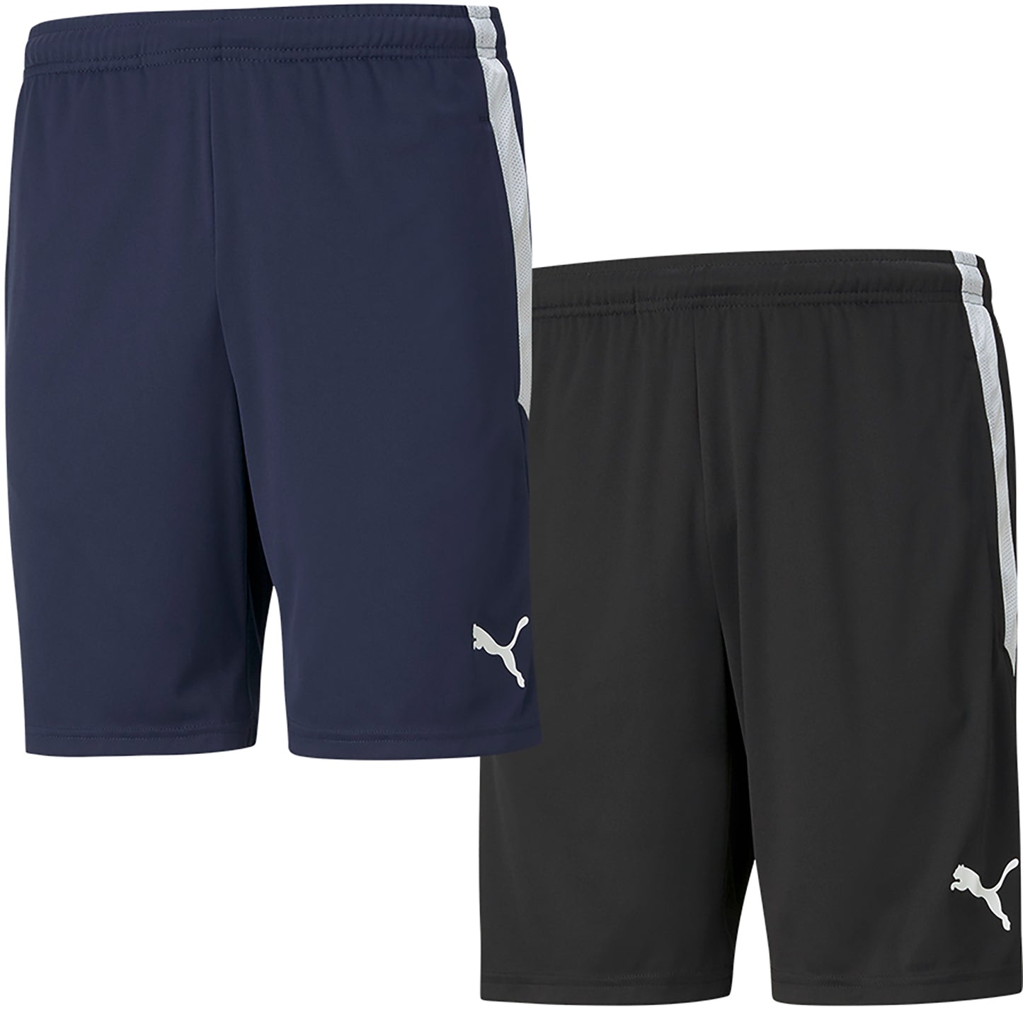 Puma Team Liga Training Shorts Senior