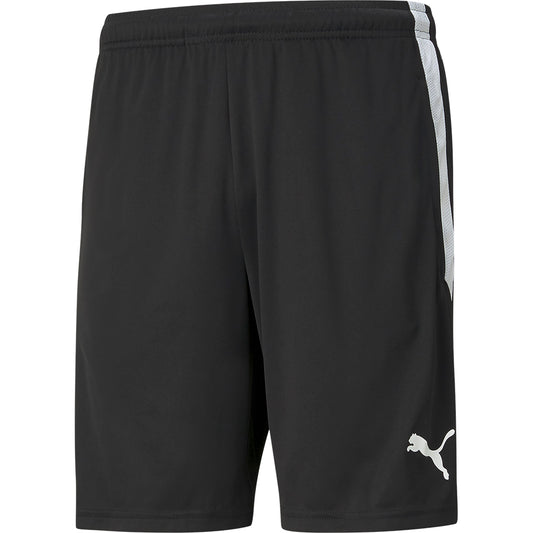 Puma Team Liga Training Shorts Senior