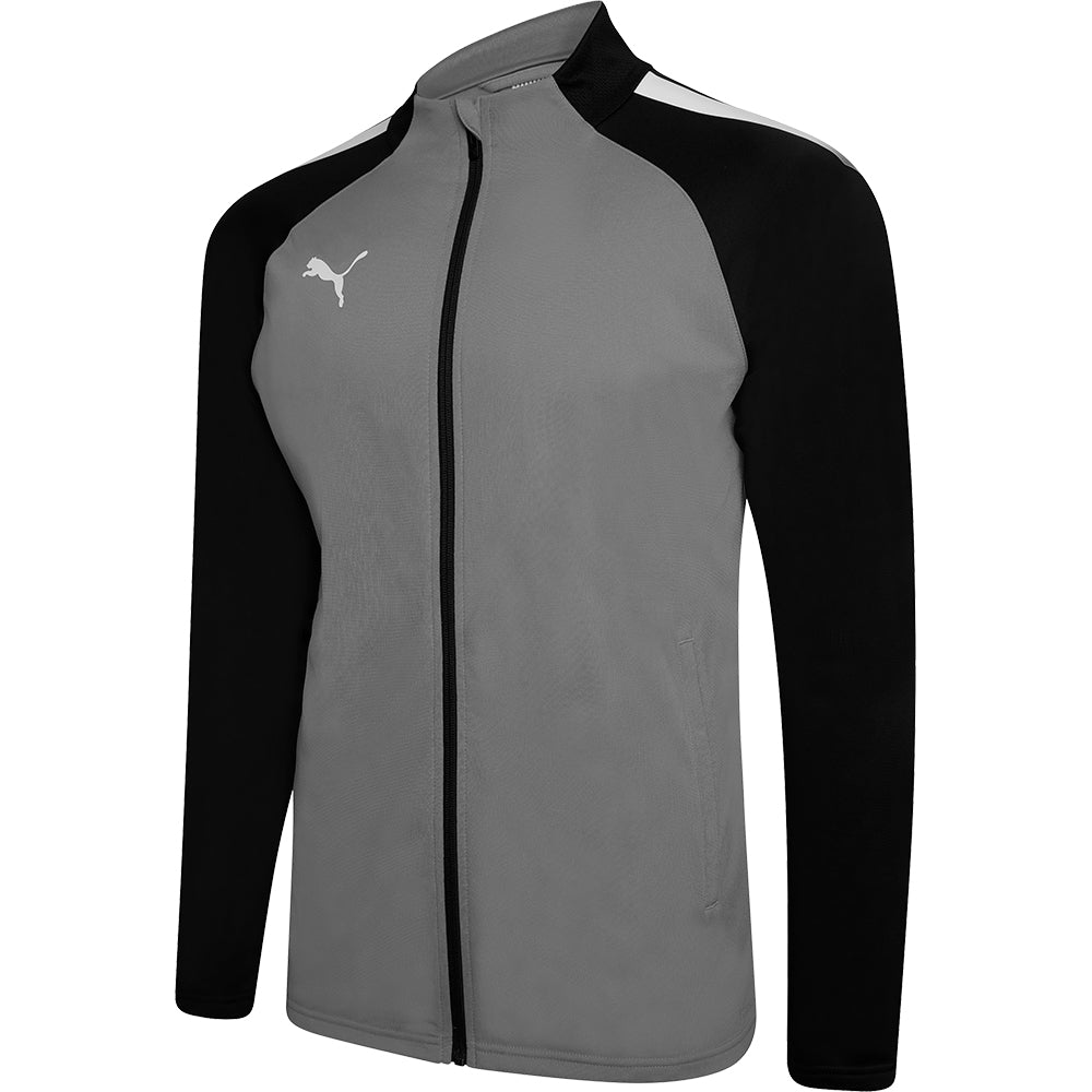 Puma Team Liga Training Jacket Senior