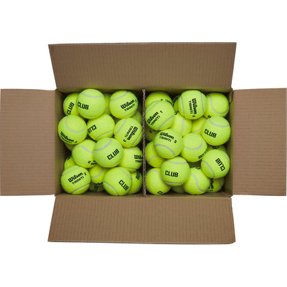 Wilson 6 Dozen Triniti Club Carton
