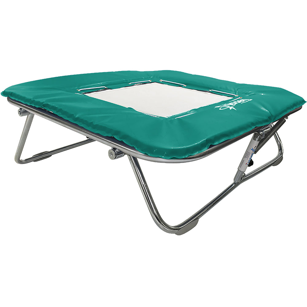 Standard Mini Trampoline
