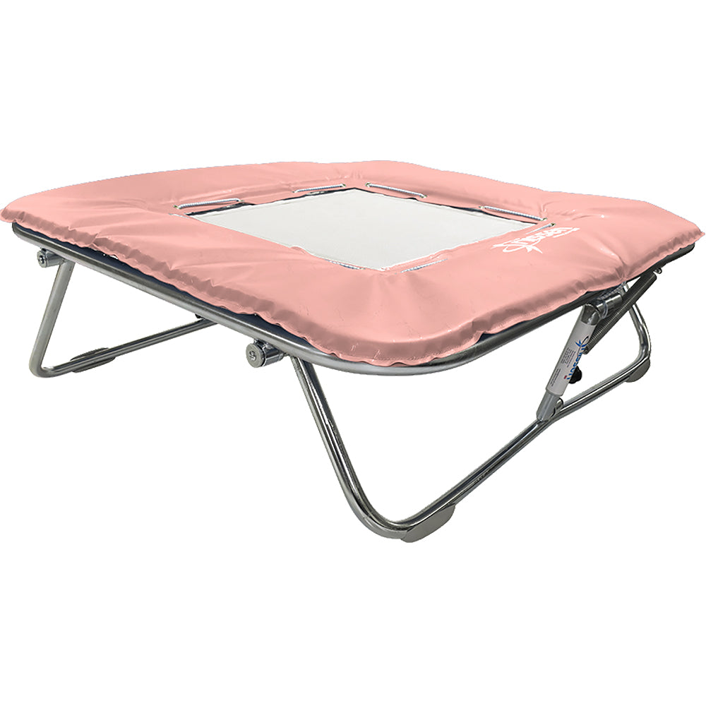 Standard Mini Trampoline