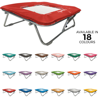 Standard Mini Trampoline
