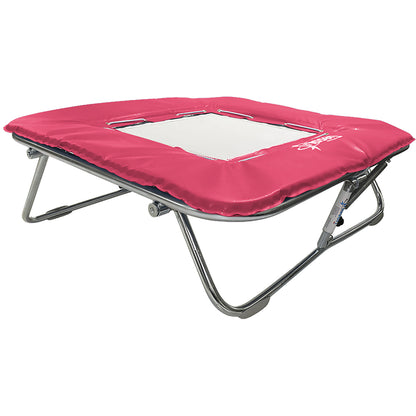 Standard Mini Trampoline