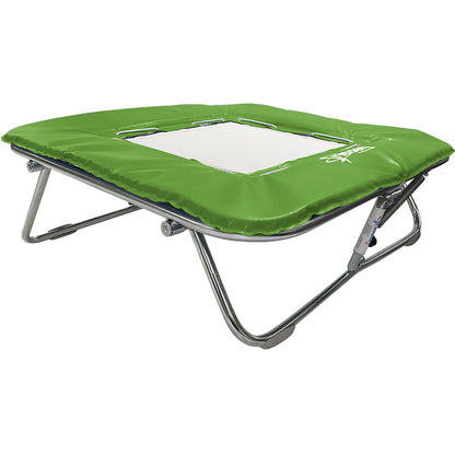 Standard Mini Trampoline
