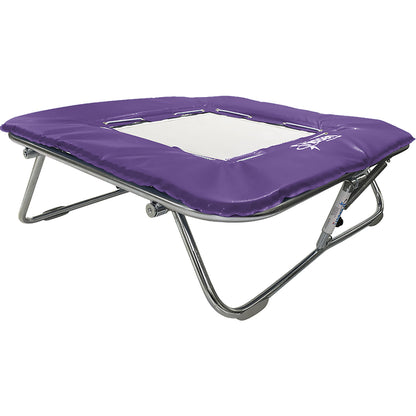 Standard Mini Trampoline