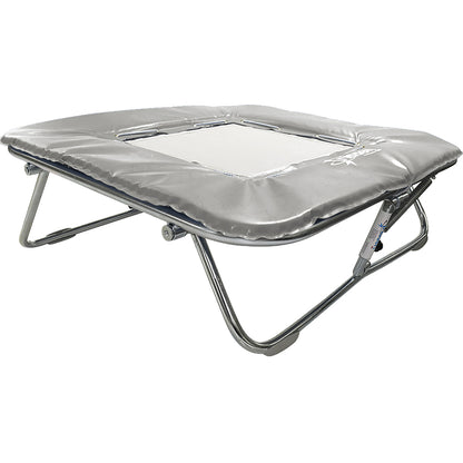 Standard Mini Trampoline