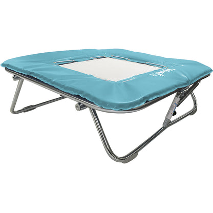 Standard Mini Trampoline