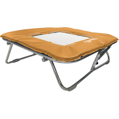 Standard Mini Trampoline