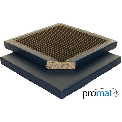 Agility Mat