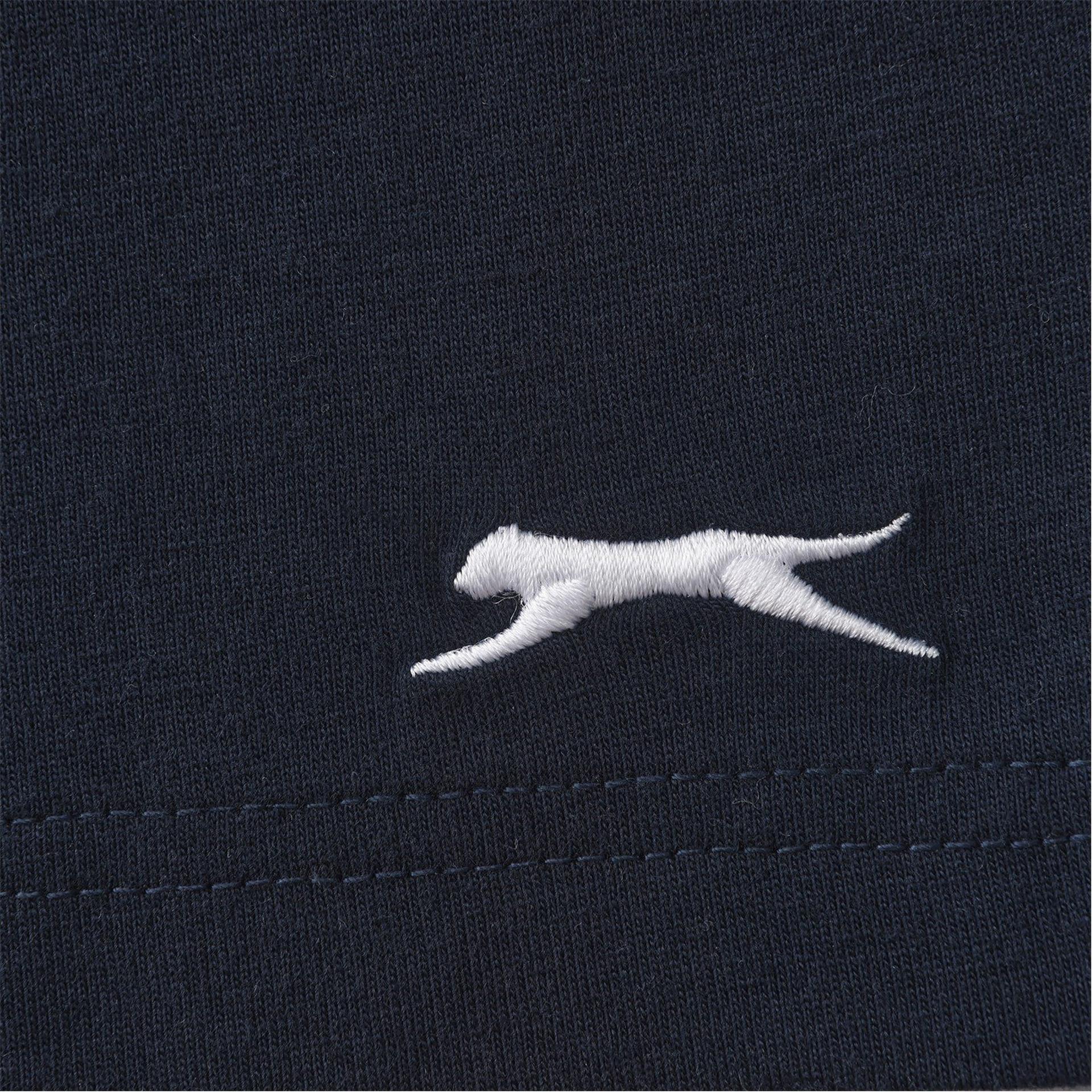 Alt 1