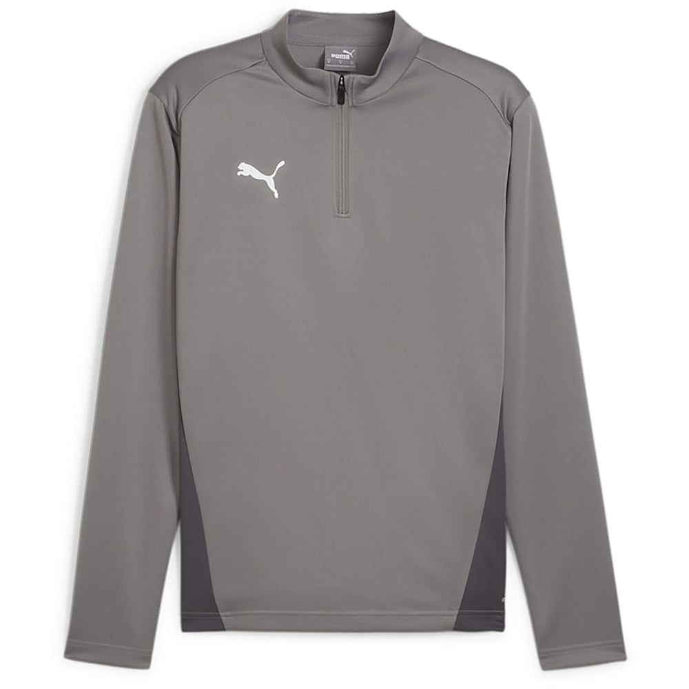 Puma Team Goal Training 1/4 Zip Top Senior