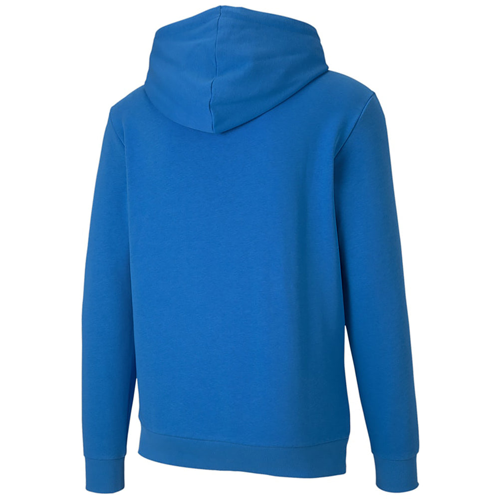 Puma Team Goal Training Hoody Senior