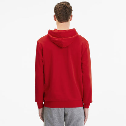 Puma Team Goal Training Hoody Senior