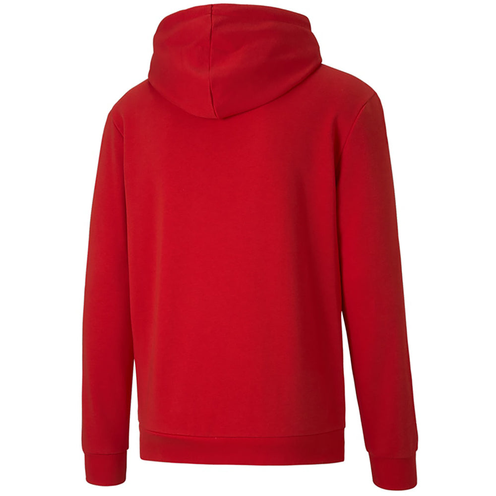 Puma Team Goal Training Hoody Senior