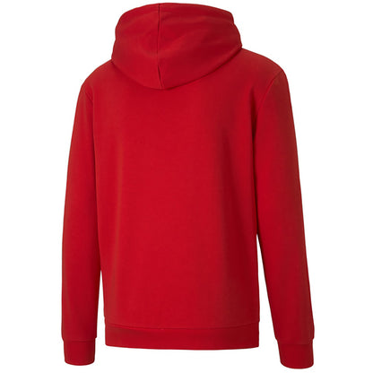 Puma Team Goal Training Hoody Senior