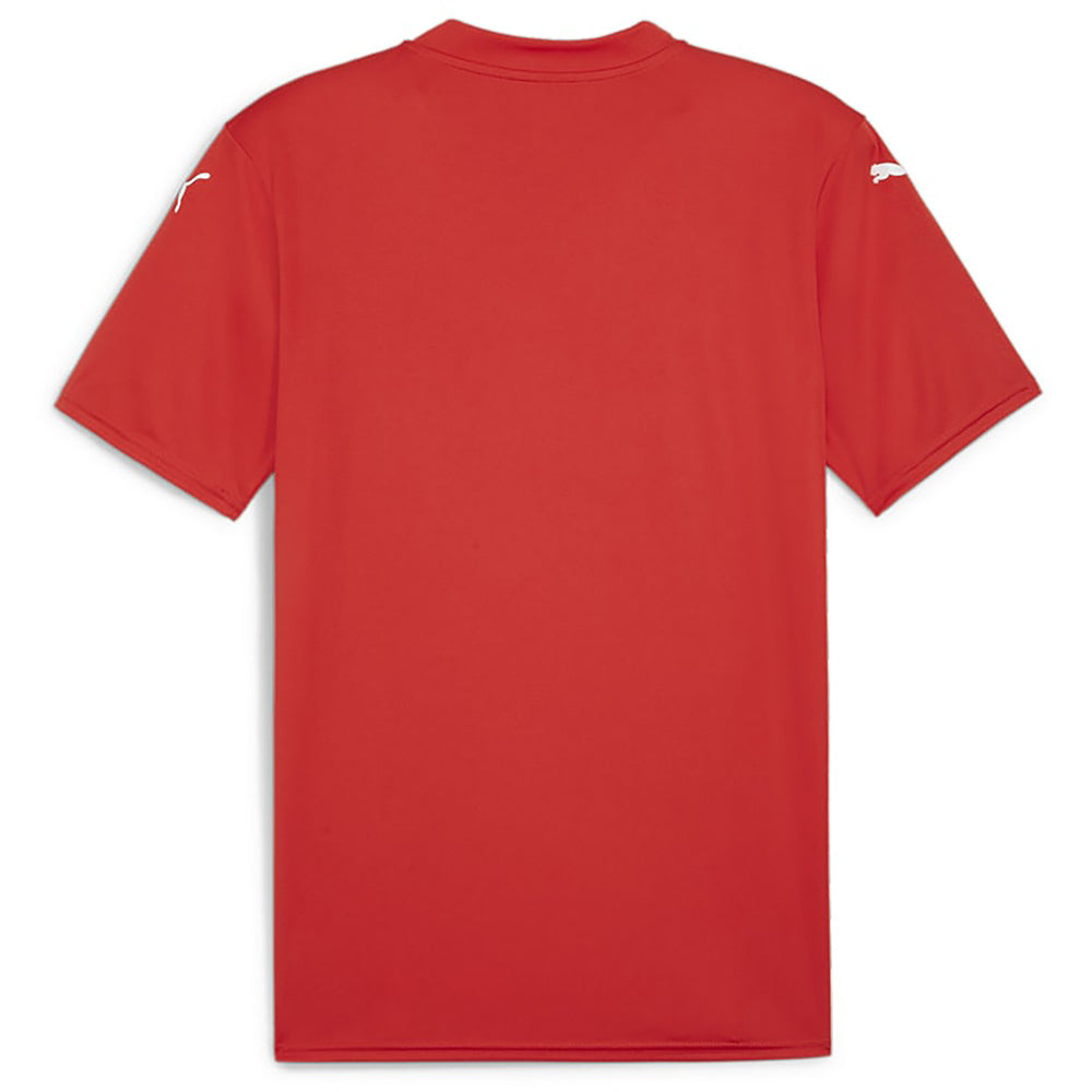Puma Team Glory Jersey Senior