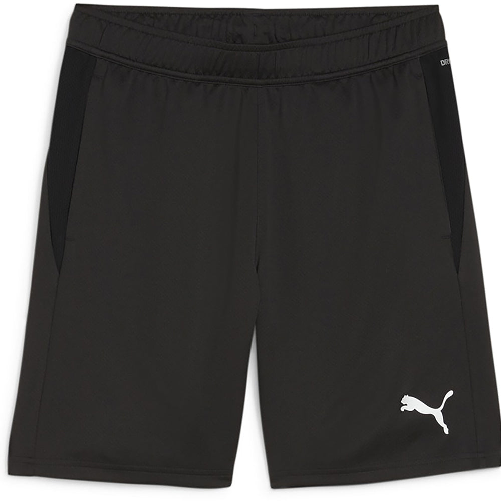 Puma Team Goal Training Shorts Senior