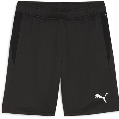 Puma Team Goal Training Shorts Senior