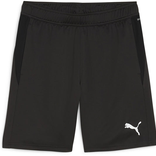 Puma Team Goal Training Shorts Senior