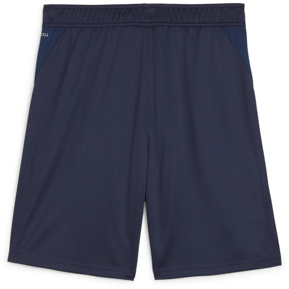 Puma Team Goal Training Shorts Senior